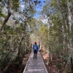 Panduan Berkunjung ke Taman Nasional Tanjung Puting, Hal Penting yang Perlu Diketahui Sebelum Berangkat