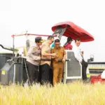 Gubernur Banten Sebut Metode PM-AAS Dongkrak Produktivitas Panen Padi