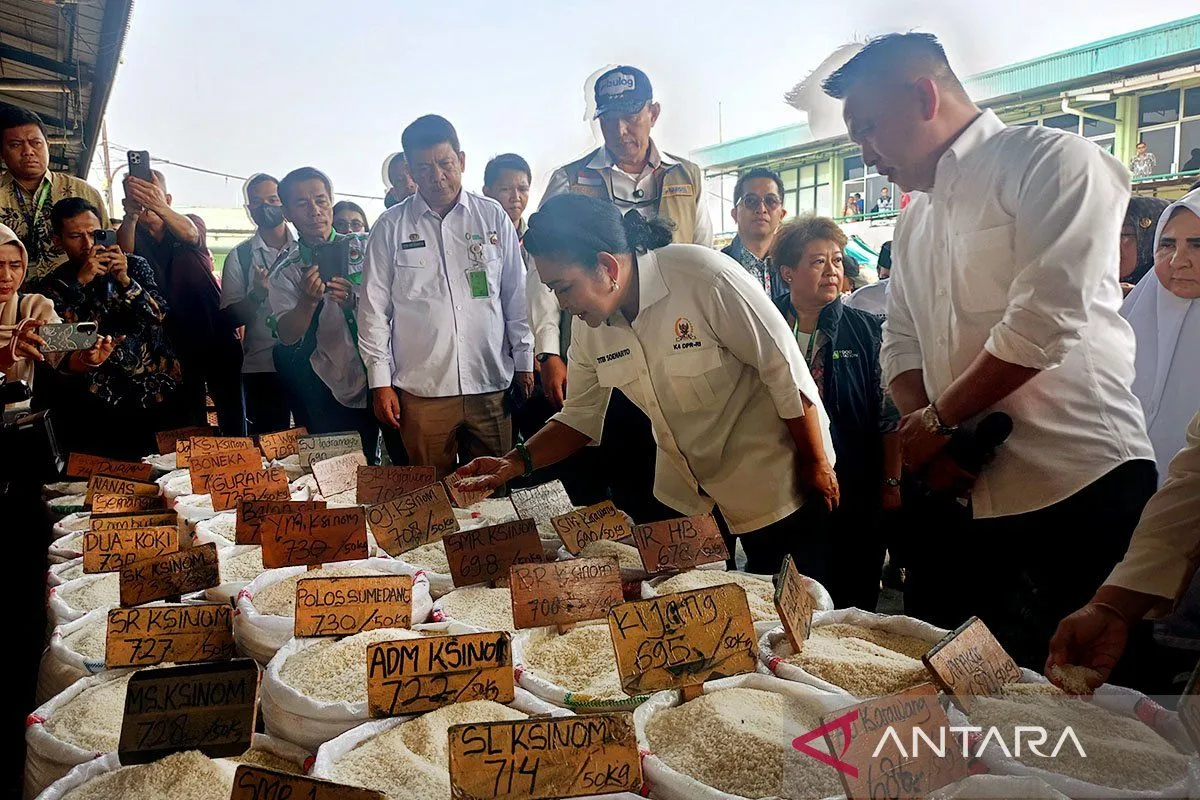 Komisi IV DPR Pantau Distribusi Beras di Cipinang untuk Jaga Pasokan dan Harga